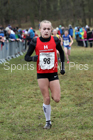 Girls under-13s, 2018 Northern Cross Country Champs., Harewood House, Leeds. Photo: David T. Hewitson/Sports for All Pics